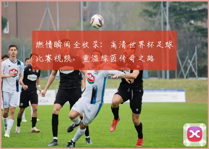 燃情瞬间全收录:高清世界杯足球比赛视频,重温绿茵传奇之路